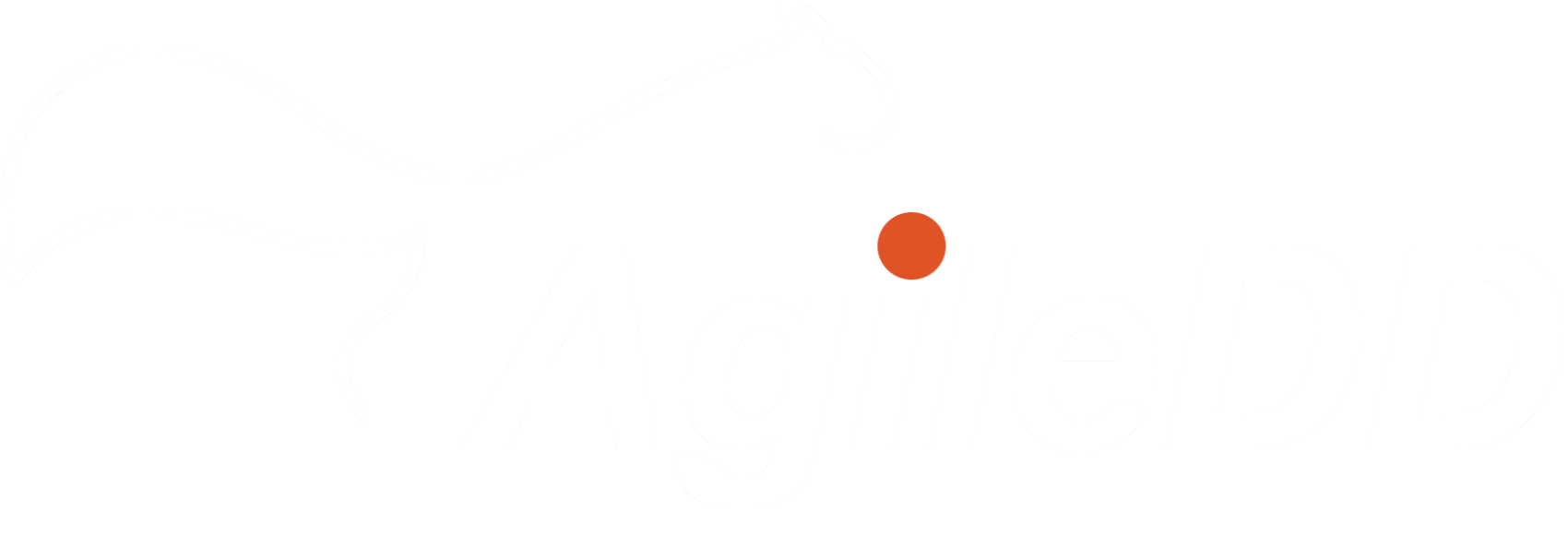AgileDD
